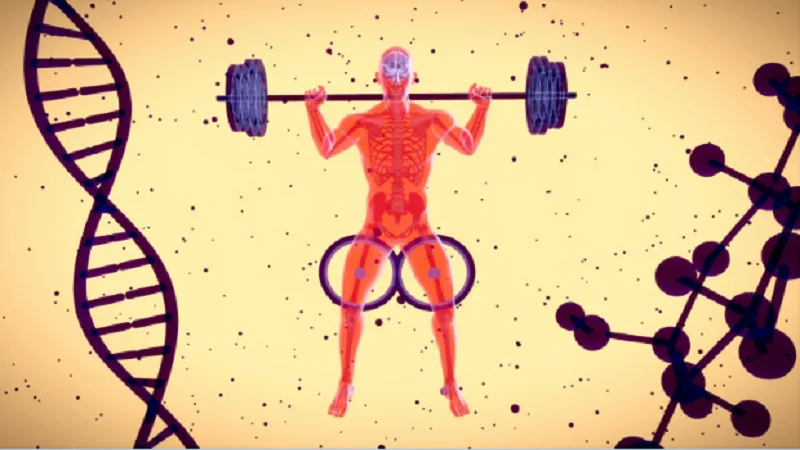 The Overlooked Role of Lipids in Biological Durability