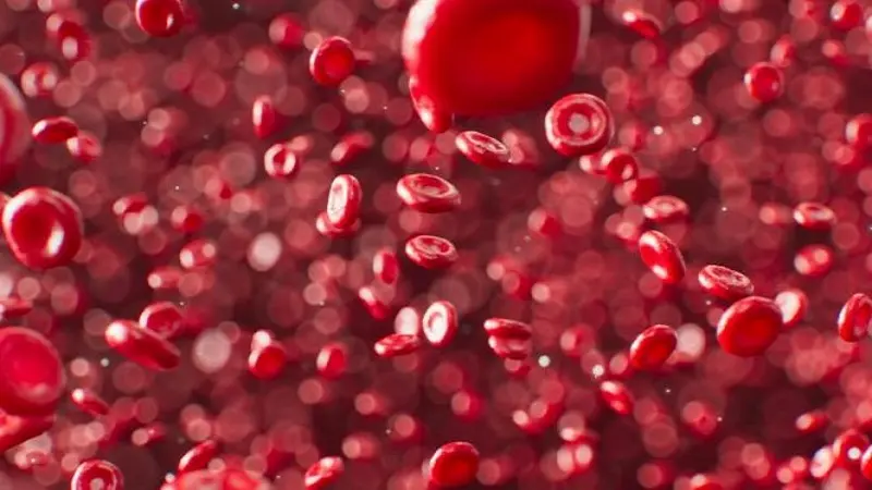 Prevent Blood Clots